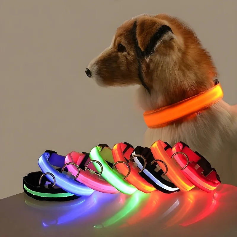 Dog Collar Nylon LED Night Safety Flashing Glow In The Dark Pet Dog Leash pet Dogs Luminous Fluorescent Dog collar