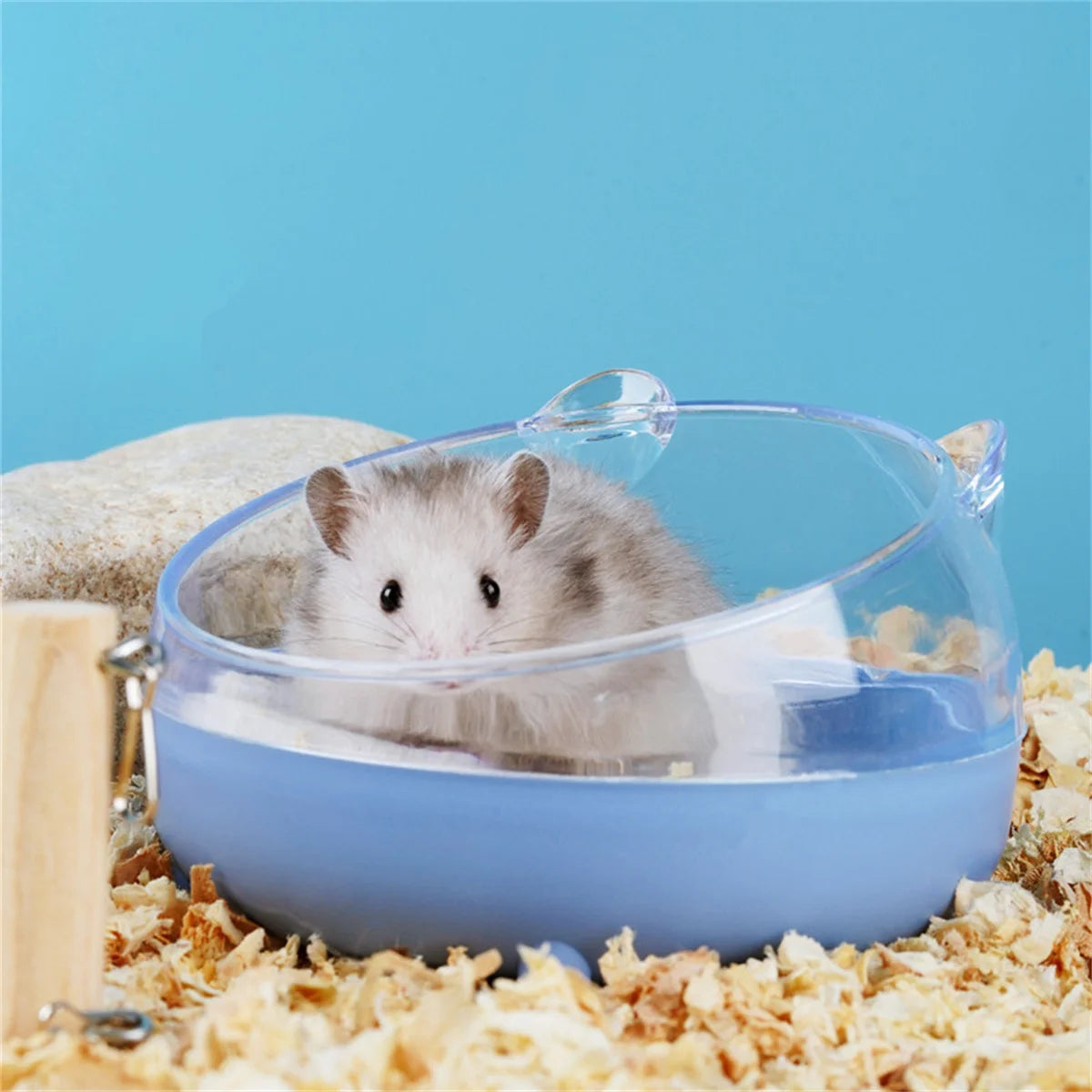 Hamster Sandbox Full Transparent Sand Bath Container Small Pet