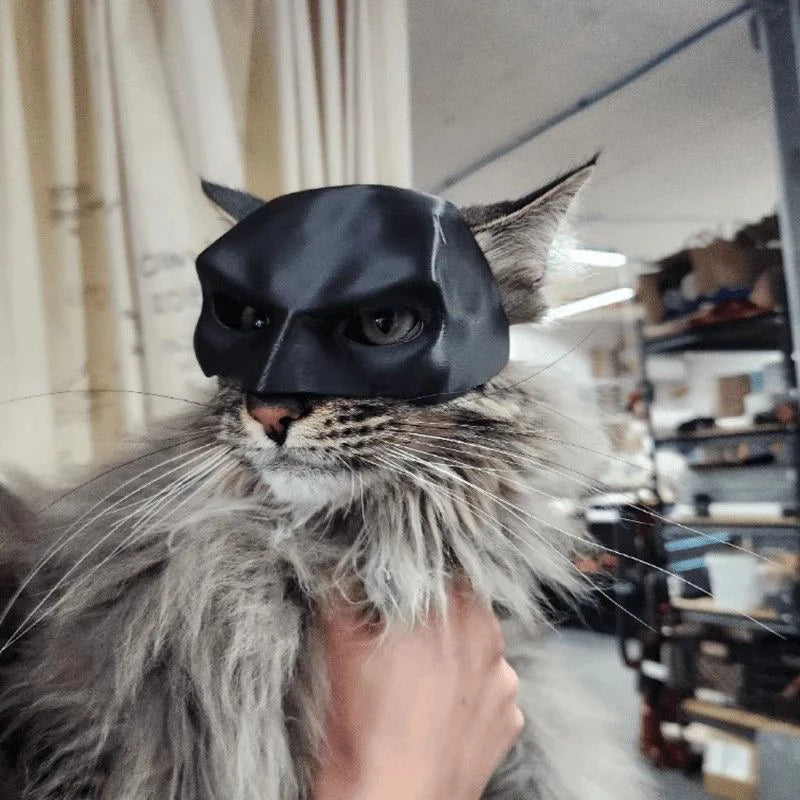 Halloween Black Bat Cat Avenger Mask Cosplay Hat Cat Funny Toys Cool Superhero Cat Masks Pet Supplies Photos Props