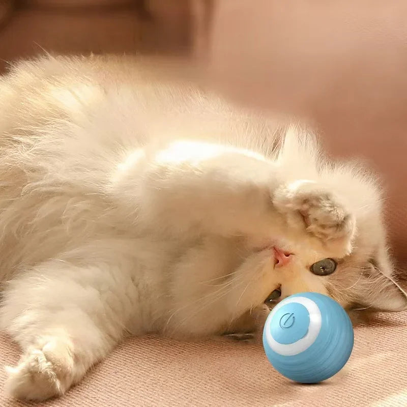 Cat Interactive Ball Training Self-moving Automatic Rolling Ball Toy for Cat