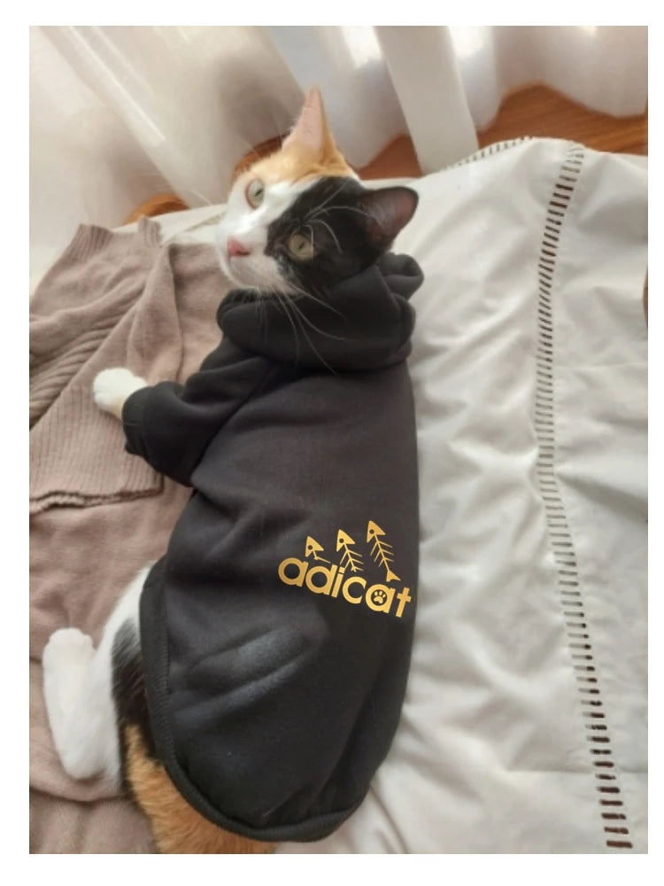 Adicat cat clothes autumn winter kitty letter printed hoodie