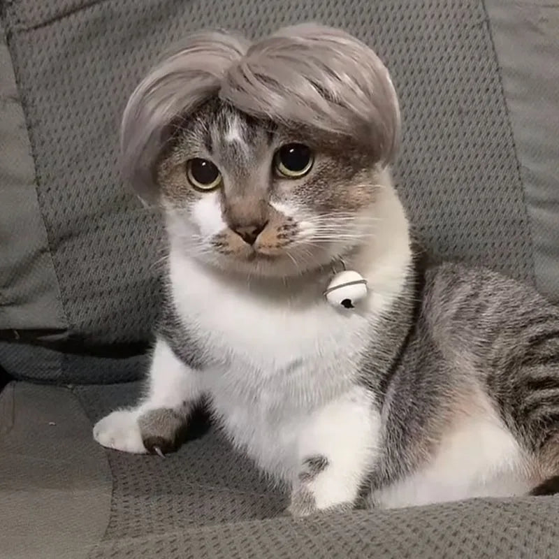 Pet Wigs Cosplay