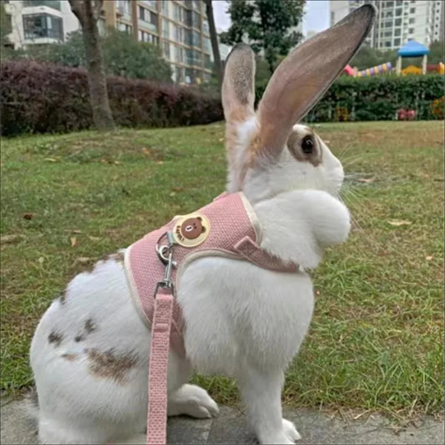 Rabbit Harness and Leash Set Vest Harnesses Rabbit Leashes for Outdoor Walking