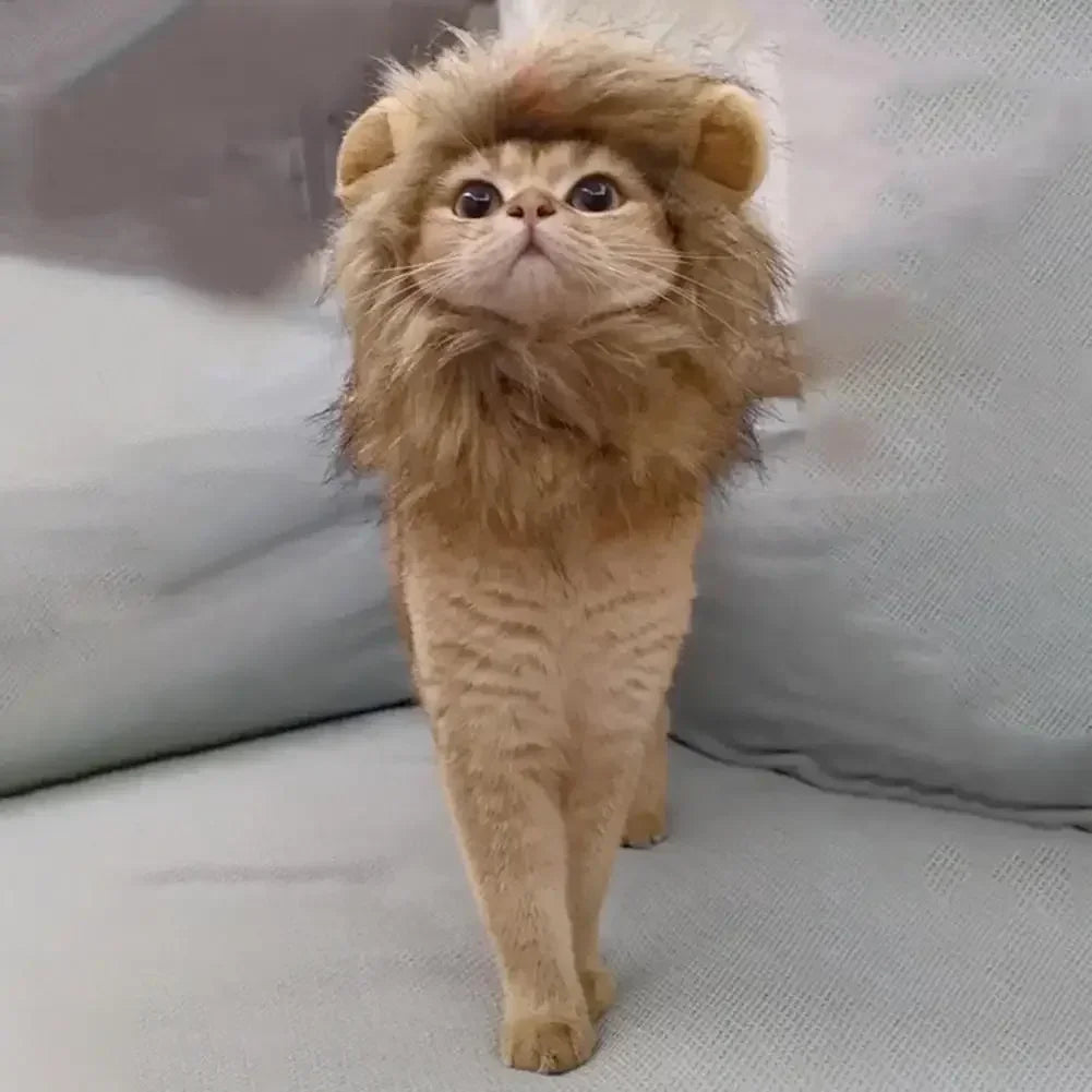 Lions mane wig for Cat Costume Cosplay