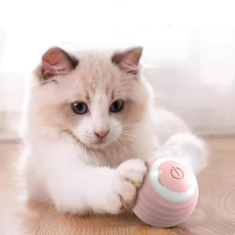 Cat Interactive Ball Training Self-moving Automatic Rolling Ball Toy for Cat